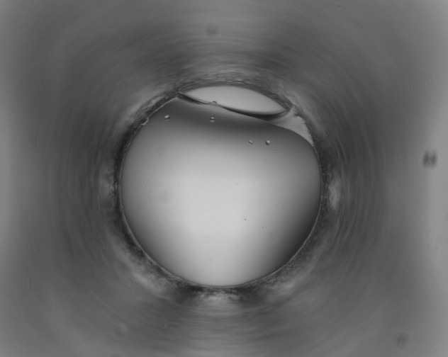 X0000091970407200709271411
