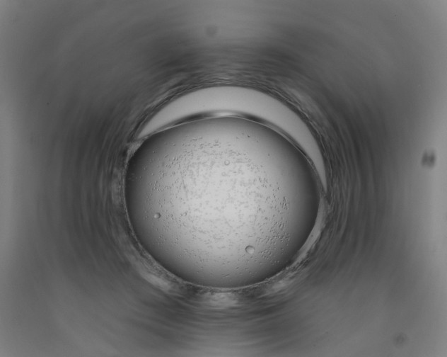 X0000091970409200709271411