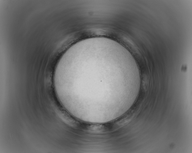 X0000091970410200709271411