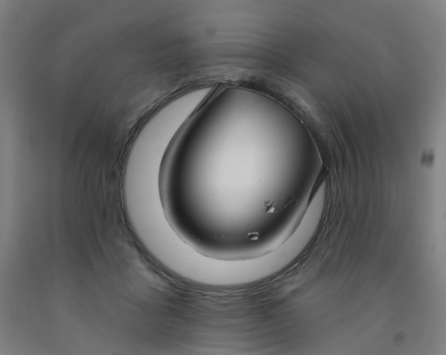 X0000091970411200709271411