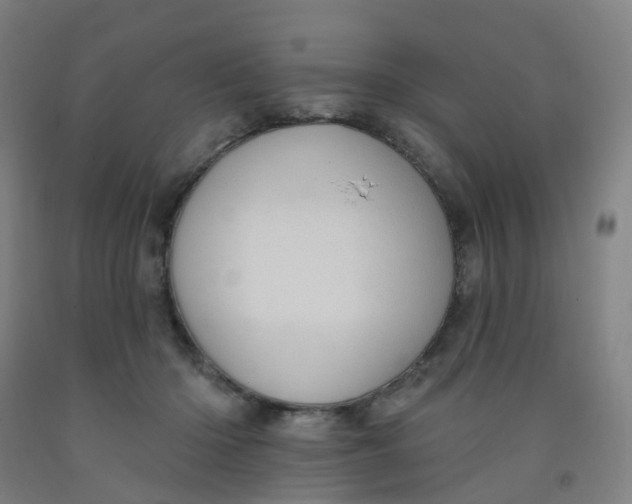 X0000091970414200709271411