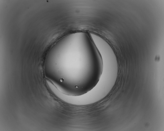 X0000091970415200709271411