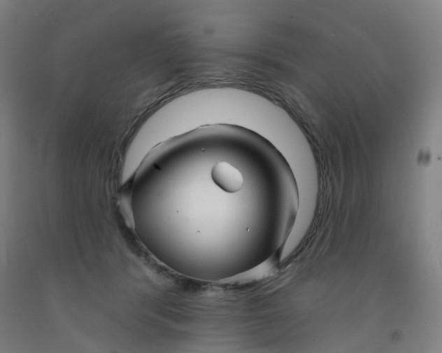 X0000091970416200709271411