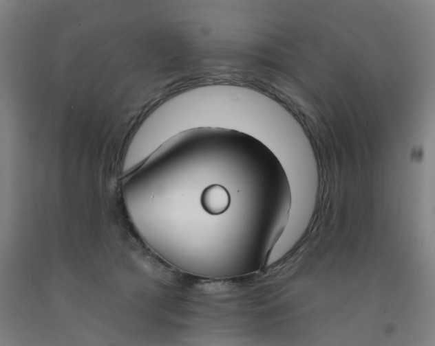 X0000091970417200709271411