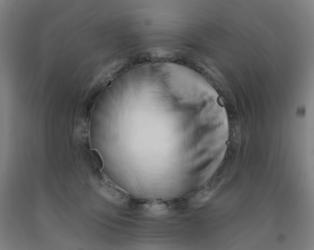 X0000091970419200709271411