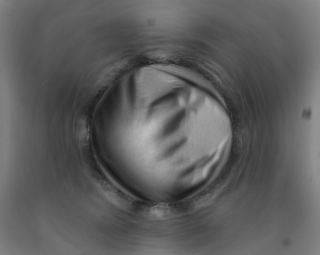 X0000091970420200709271411