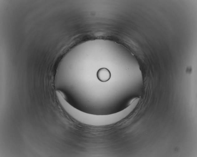 X0000091970421200709271411