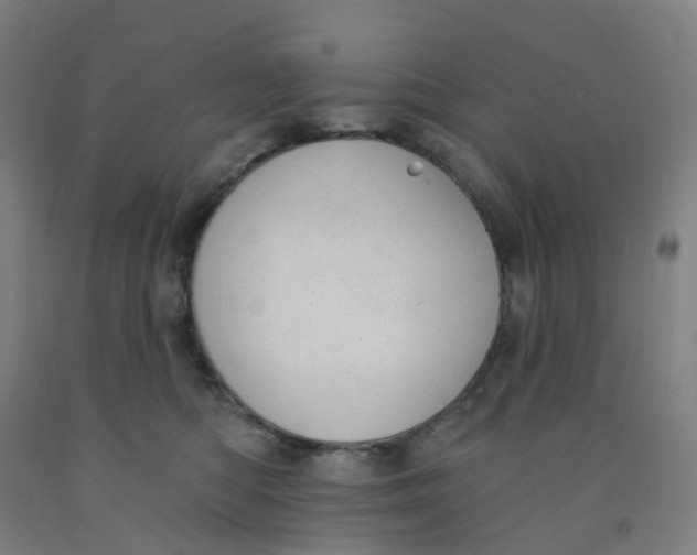 X0000091970422200709271411