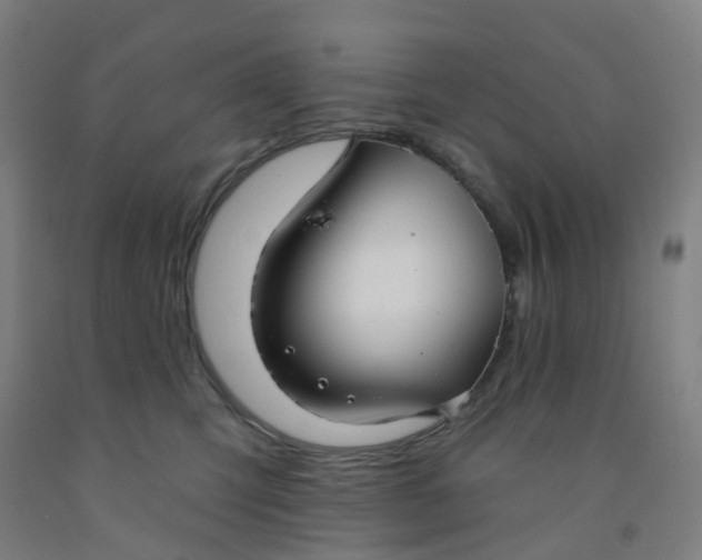 X0000091970423200709271411