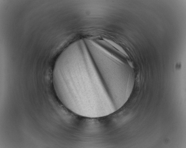 X0000091970424200709271411
