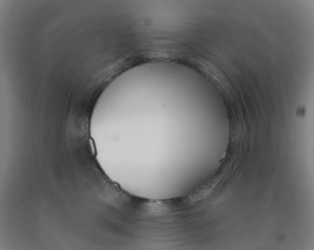 X0000091970425200709271411