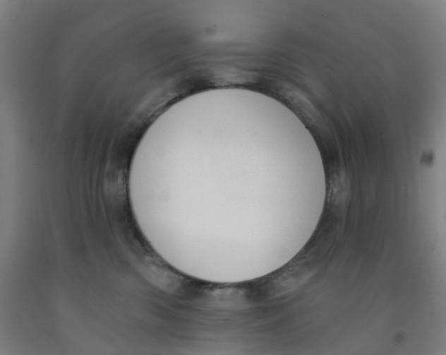 X0000091970426200709271411