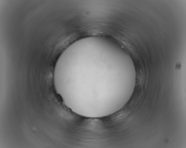 X0000091970427200709271411