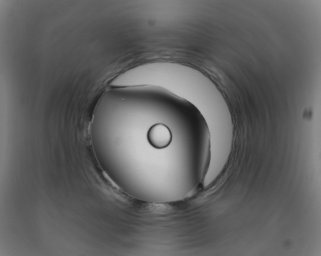 X0000091970429200709271411