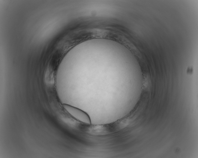 X0000091970431200709271411
