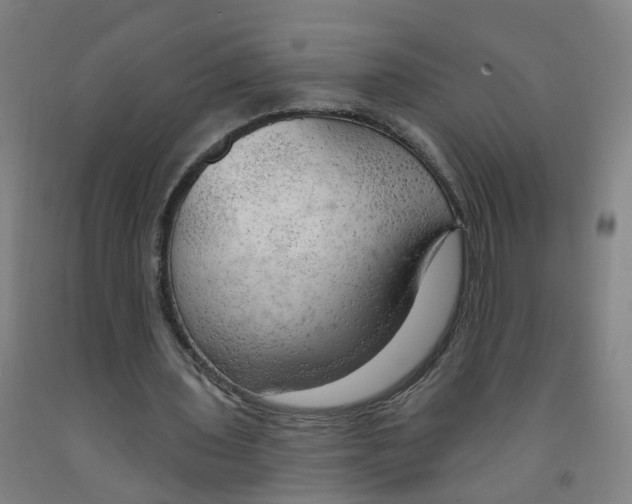 X0000091970435200709271410