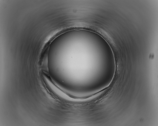X0000091970436200709271410