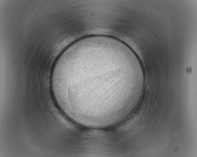 X0000091970437200709271410