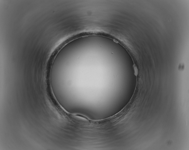 X0000091970440200709271410