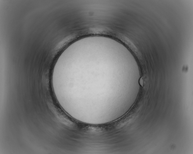 X0000091970442200709271410