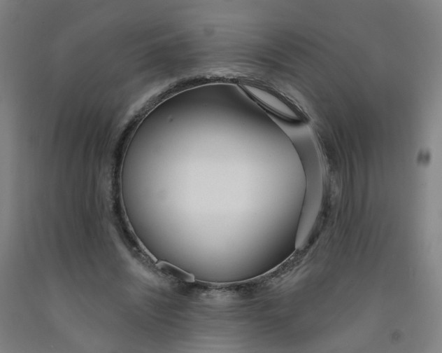 X0000091970444200709271410