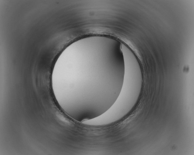 X0000091970445200709271410