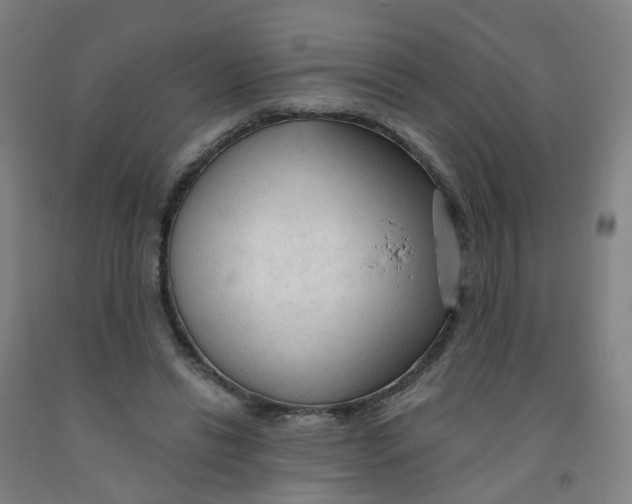 X0000091970446200709271410