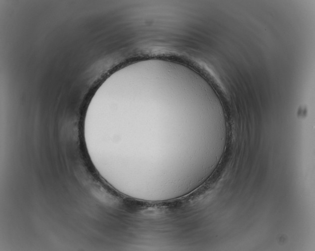 X0000091970447200709271410