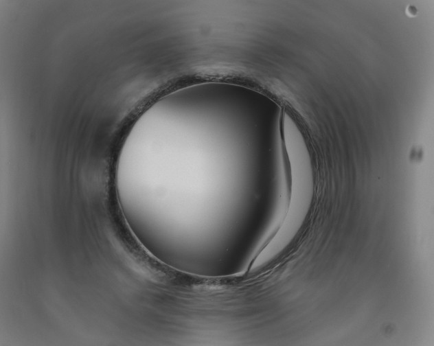 X0000091970448200709271410