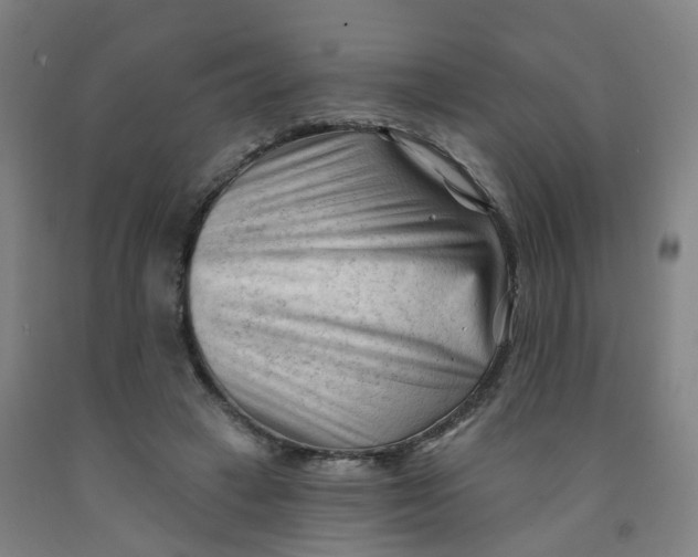X0000091970449200709271410