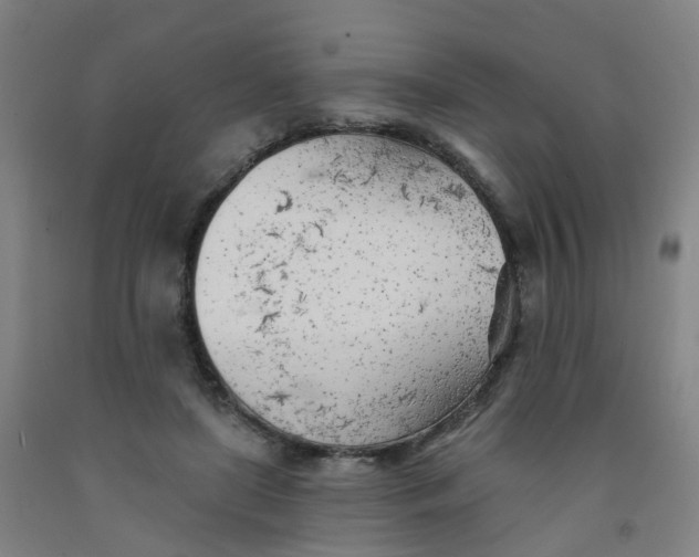 X0000091970451200709271410