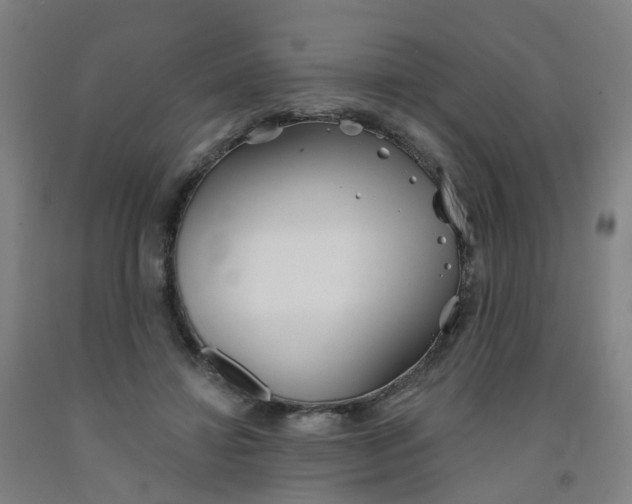 X0000091970452200709271410