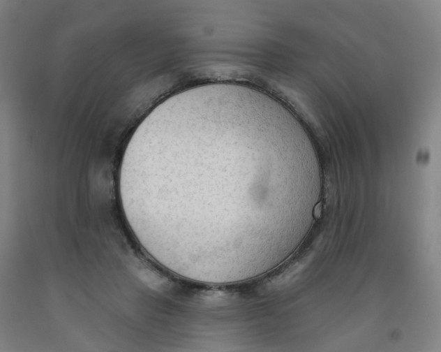 X0000091970453200709271410