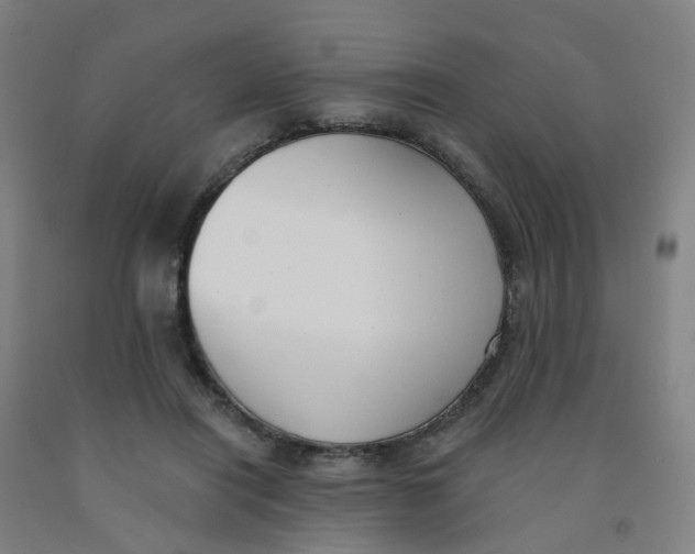 X0000091970454200709271410