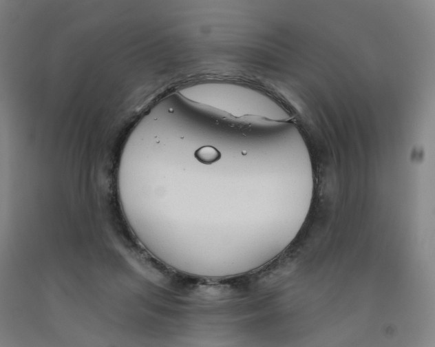 X0000091970455200709271410