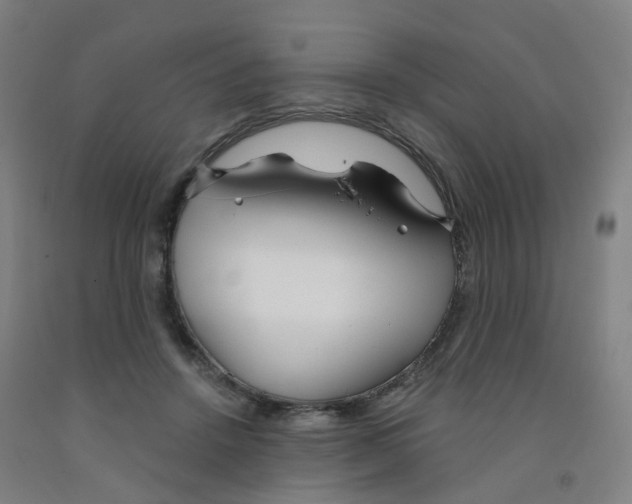 X0000091970456200709271410
