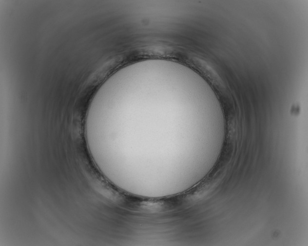 X0000091970457200709271410