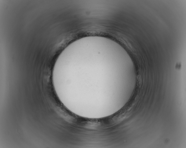 X0000091970458200709271410