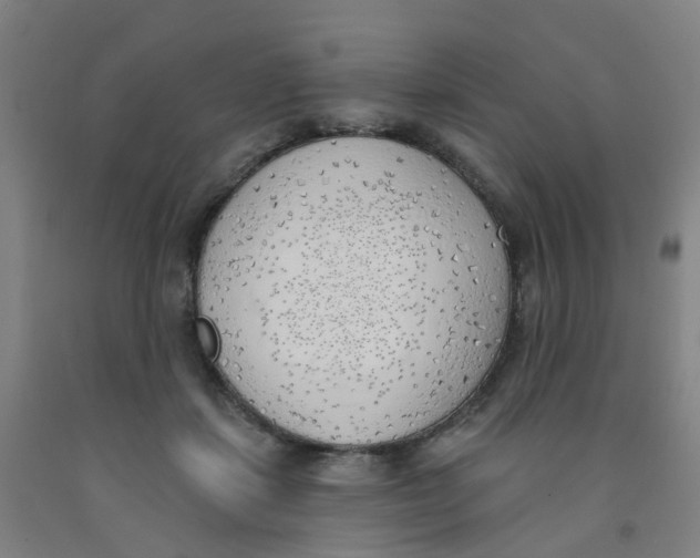 X0000091970459200709271410