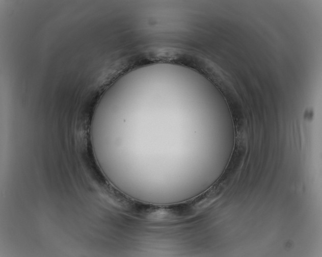 X0000091970460200709271410