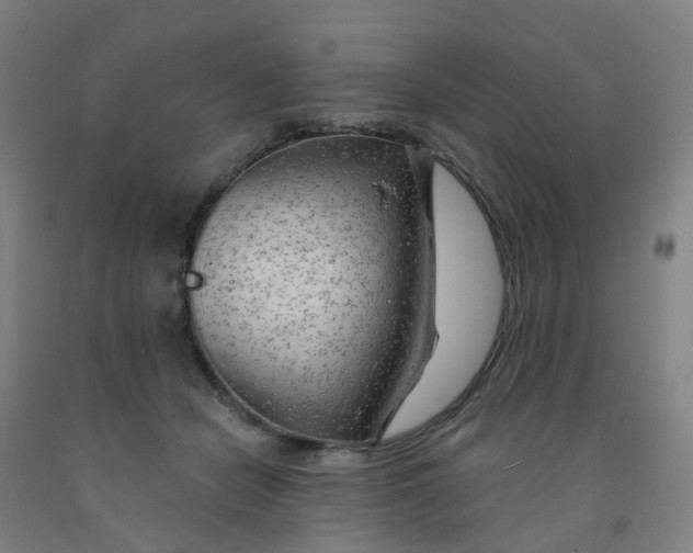 X0000091970462200709271410