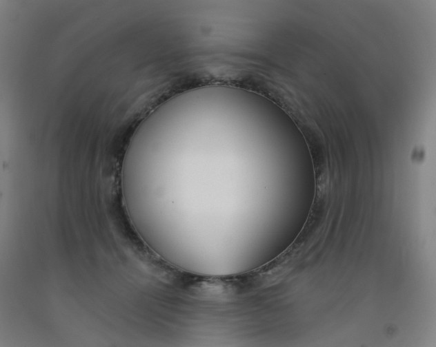 X0000091970464200709271410