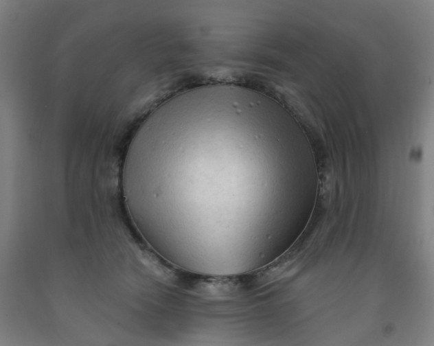 X0000091970466200709271410