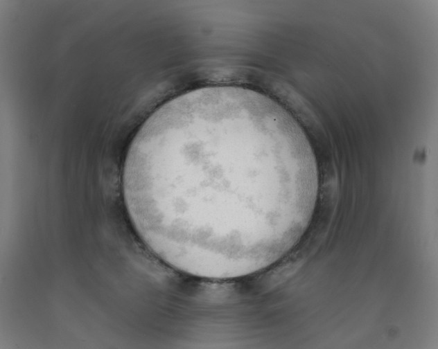 X0000091970469200709271410