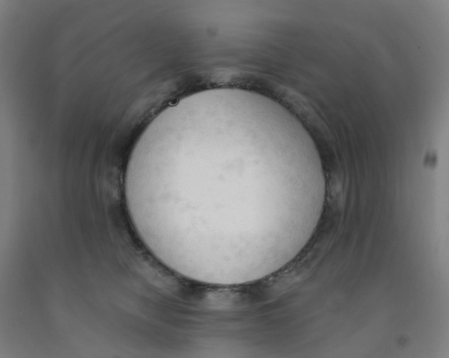X0000091970470200709271410