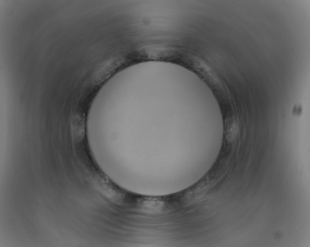 X0000091970471200709271410
