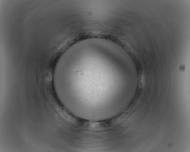 X0000091970472200709271410
