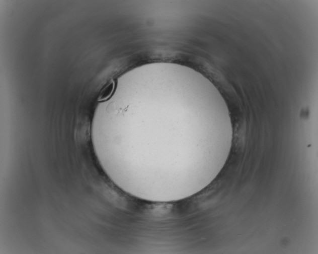 X0000091970474200709271410