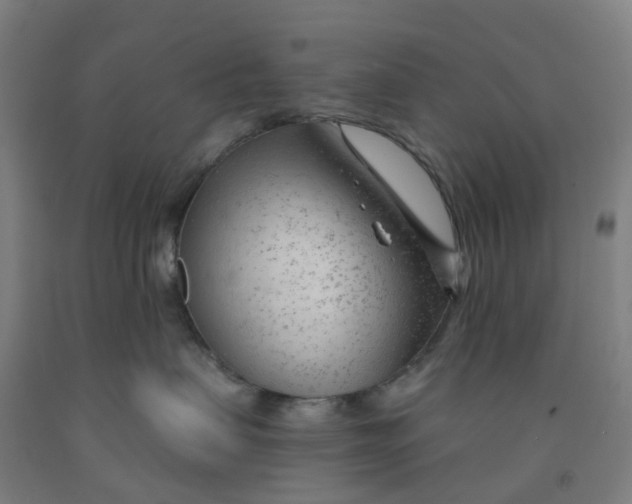 X0000091970479200709271411