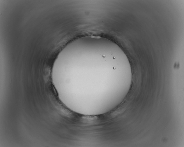 X0000091970480200709271411